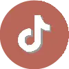 Tik Tok icon